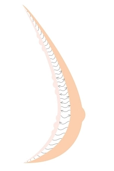 3-layer-shaper-balance-adapt-air-illu-ai-orez (1).jpg